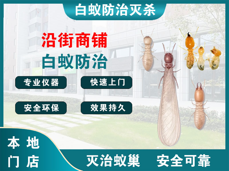 柯桥沿街商铺白蚁防治