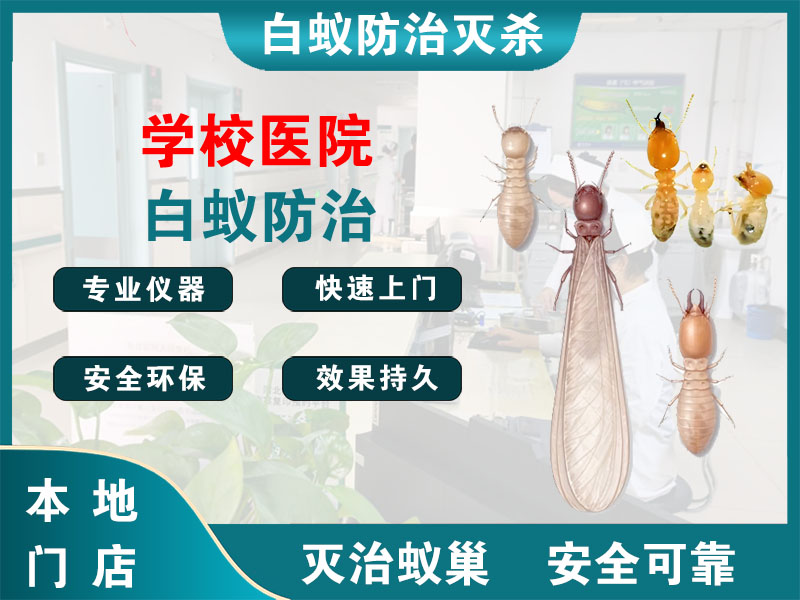 柯桥学校医院白蚁防治