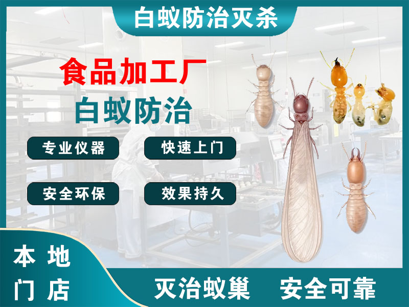 柯桥食品加工厂白蚁防治
