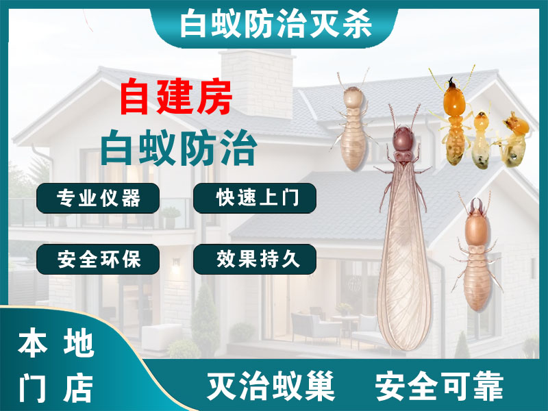 柯桥自建房白蚁防治