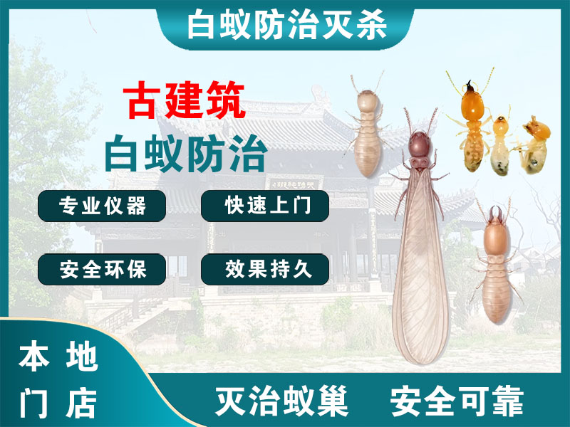 柯桥古建筑白蚁防治