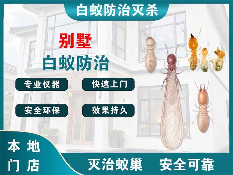 柯桥别墅白蚁防治